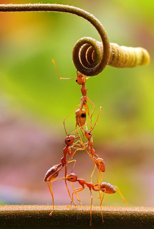 Les merveilles de la nature